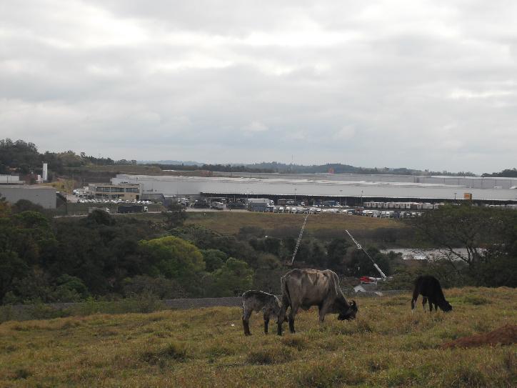 #27 - Fazenda para Venda em Louveira - SP