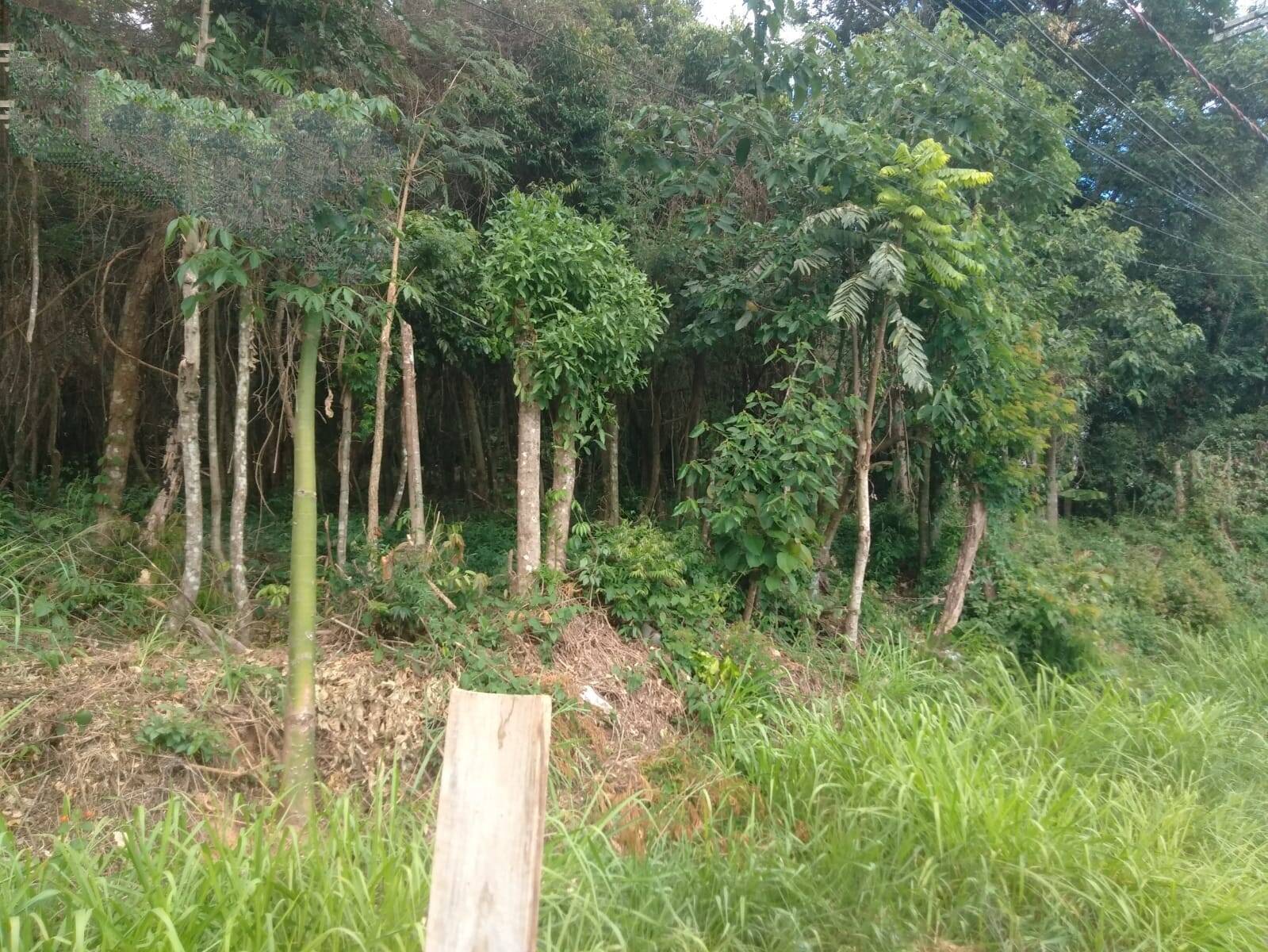#2104 - Terreno para Venda em Louveira - SP