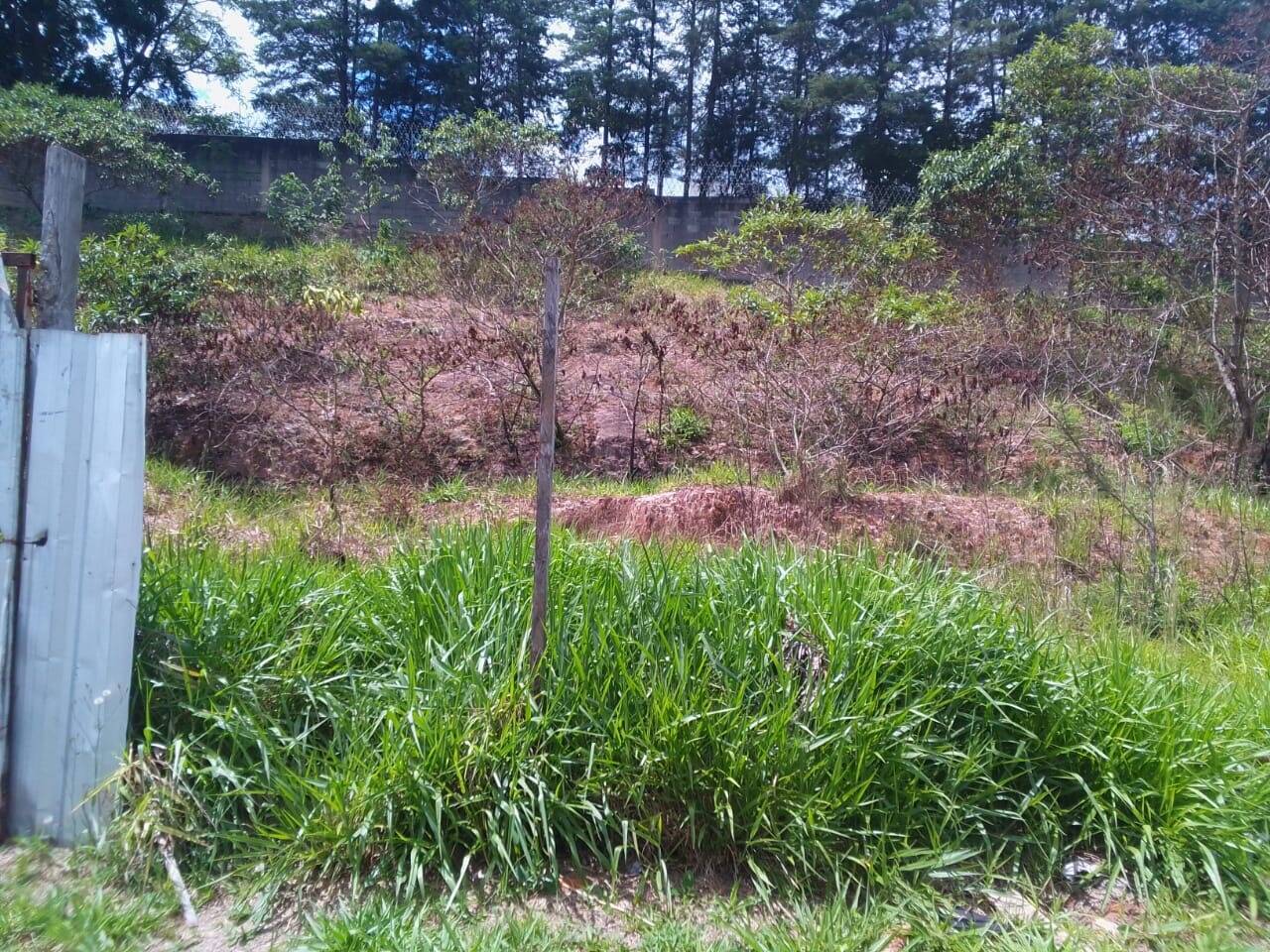 #2347 - Terreno para Venda em Louveira - SP