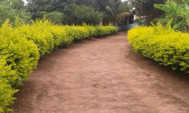 #711 - Chácara para Venda em Campinas - SP