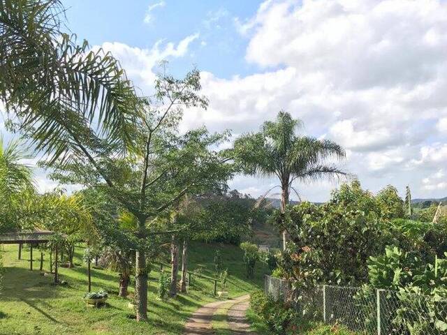 #897 - Chácara para Venda em Louveira - SP - 1