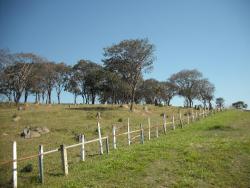 #22 - Fazenda para Venda em Vinhedo - SP - 2