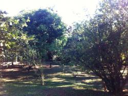 #1321 - Terreno para Venda em Louveira - SP - 1