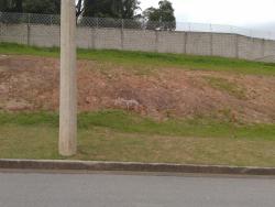 #1332 - Terreno em condomínio para Venda em Louveira - SP