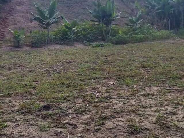 #1618 - Área para Venda em Louveira - SP - 3