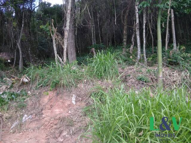 #2104 - Terreno para Venda em Louveira - SP - 2