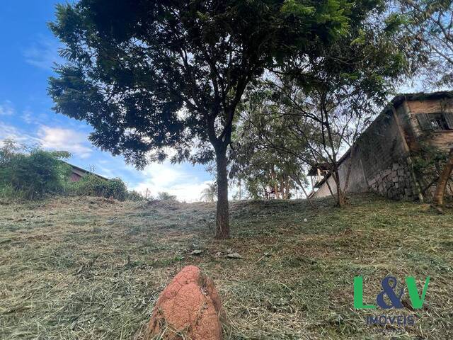 #2201 - Terreno para Venda em Louveira - SP - 3