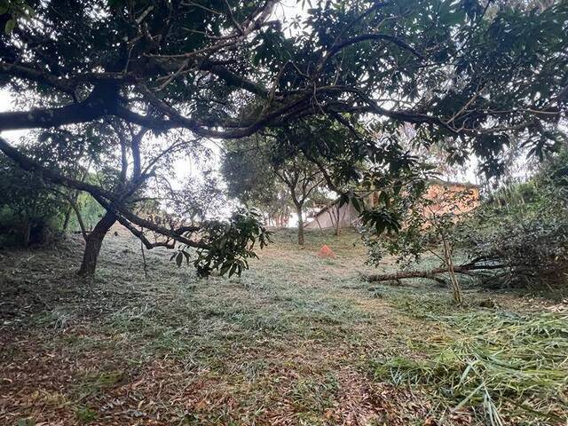 Terreno para Venda em Louveira - 4