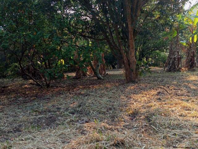 #2280 - Terreno para Venda em Louveira - SP - 3