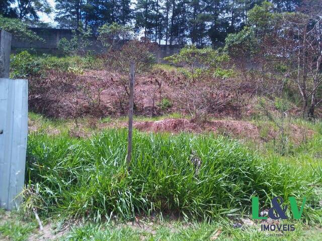 #2347 - Terreno para Venda em Louveira - SP - 2