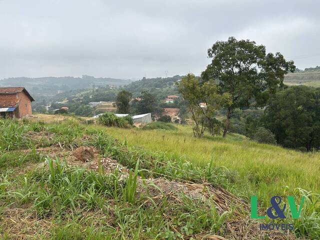#2376 - Chácara para Venda em Louveira - SP - 2