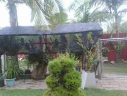 #651 - Chácara para Venda em Louveira - SP - 3