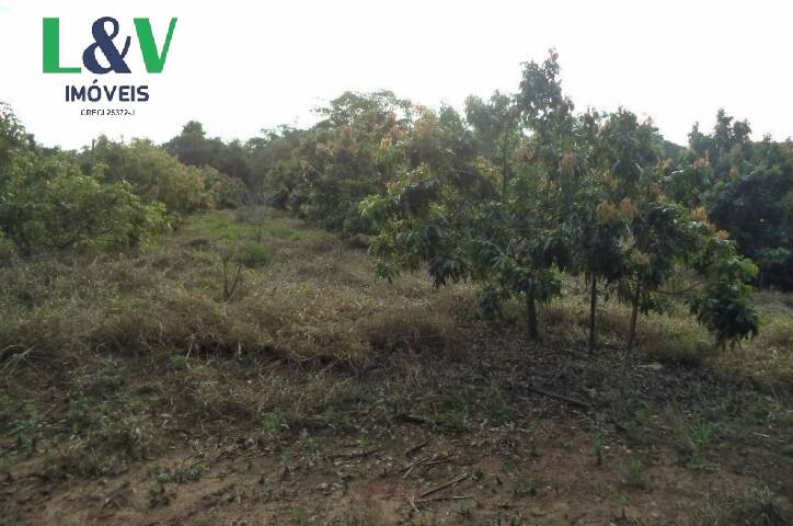 Terreno, 2 hectares - Foto 3