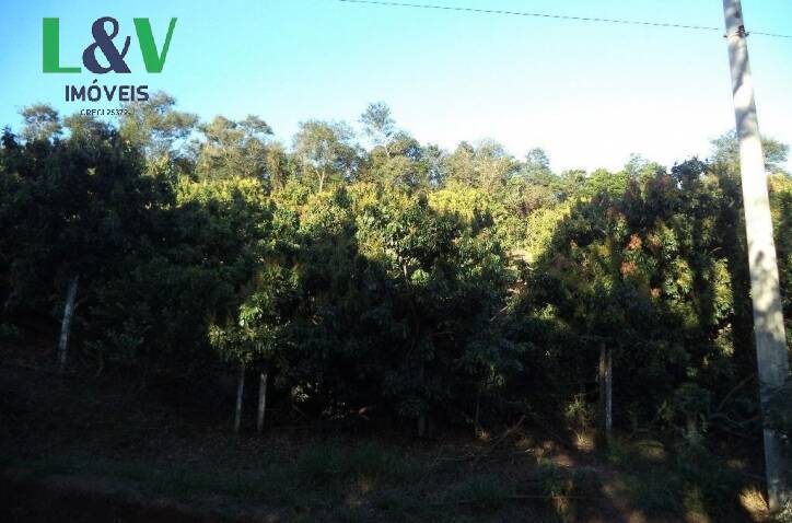 Terreno, 2 hectares - Foto 4