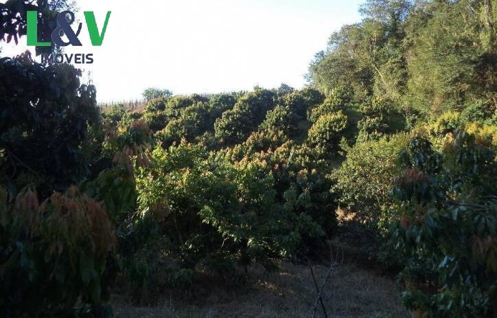 Terreno, 2 hectares - Foto 7