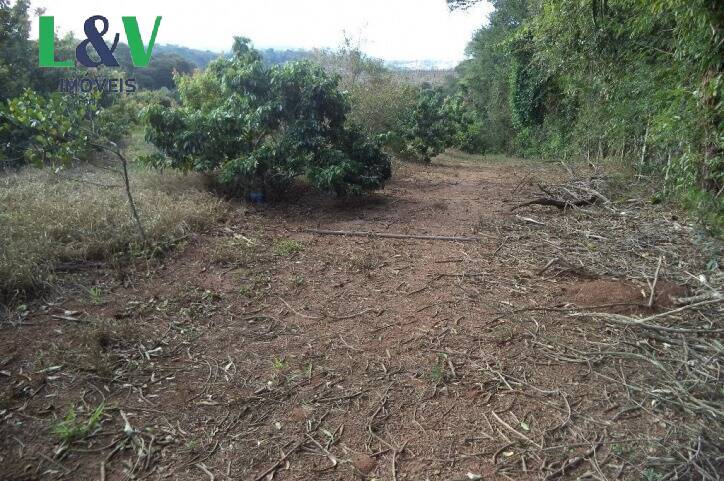 Terreno, 2 hectares - Foto 8