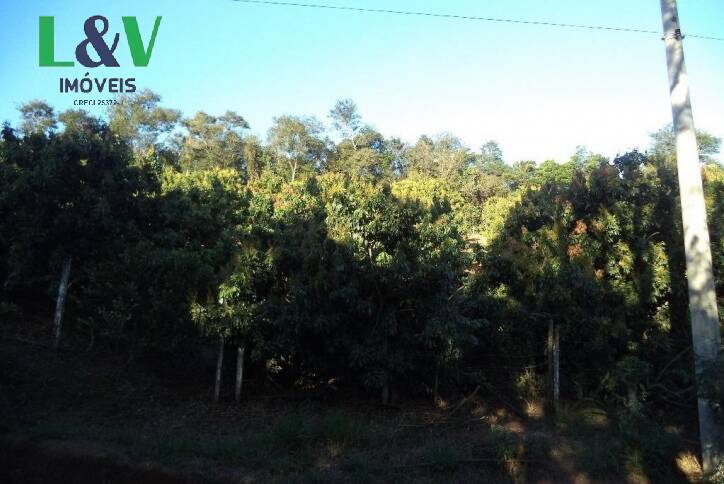 Terreno, 2 hectares - Foto 9