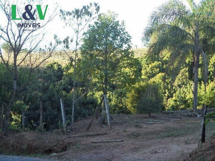 Terreno, 2 hectares - Foto 10