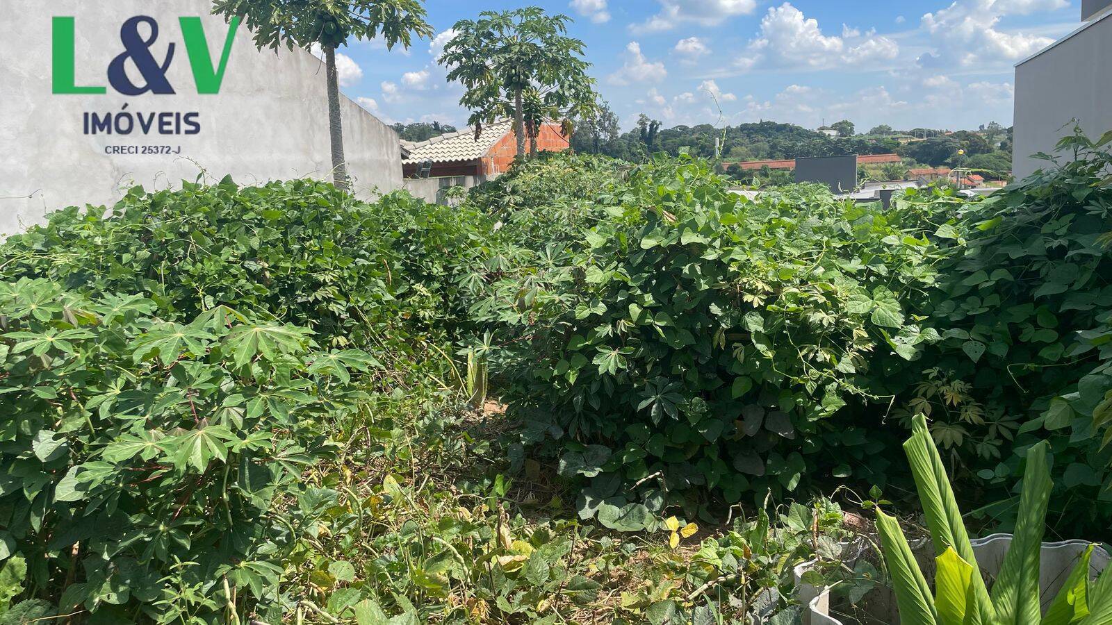 Terreno, 250 m² - Foto 5