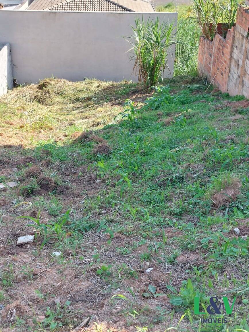 Terreno à venda, 250m² - Foto 7