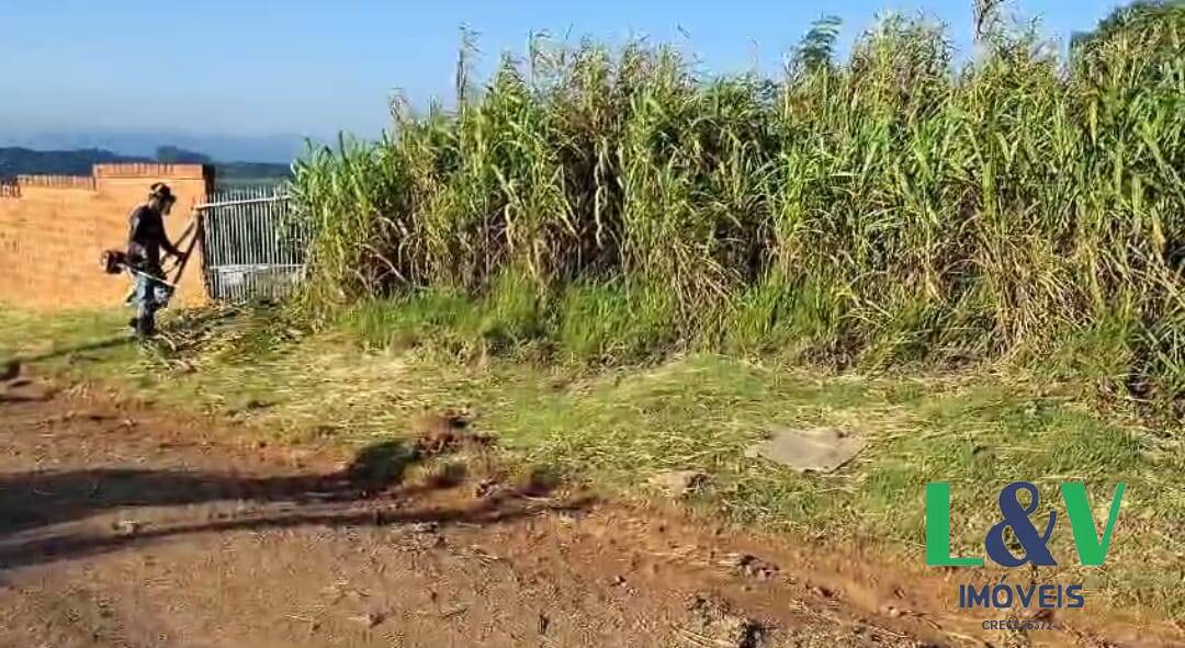 Terreno à venda, 9000m² - Foto 7