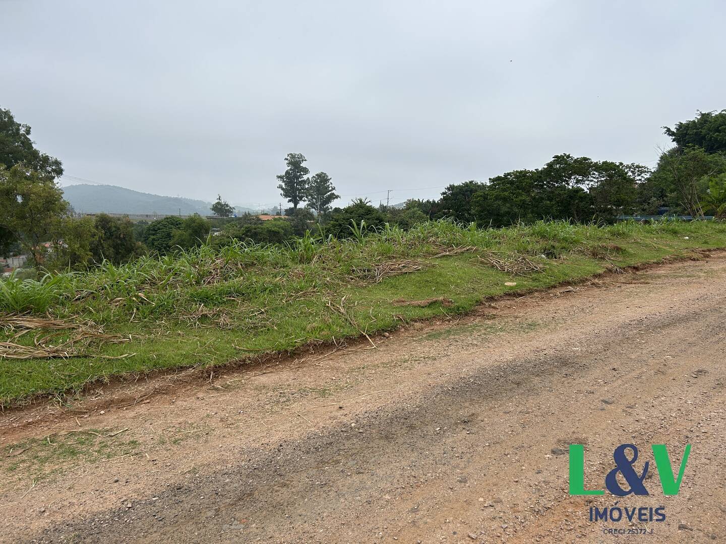 Terreno à venda, 9000m² - Foto 4