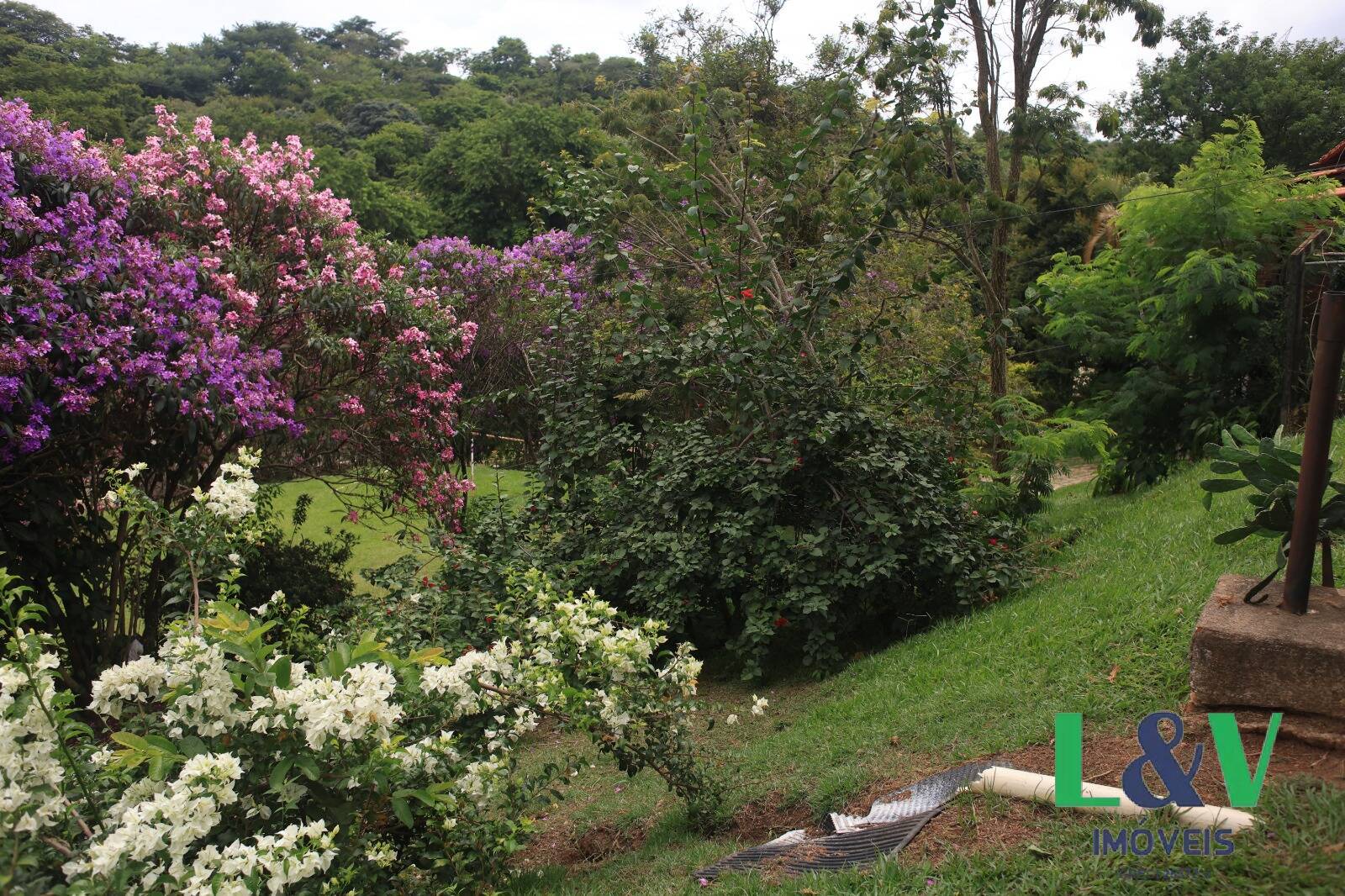 Chácara à venda com 5 quartos, 780m² - Foto 36